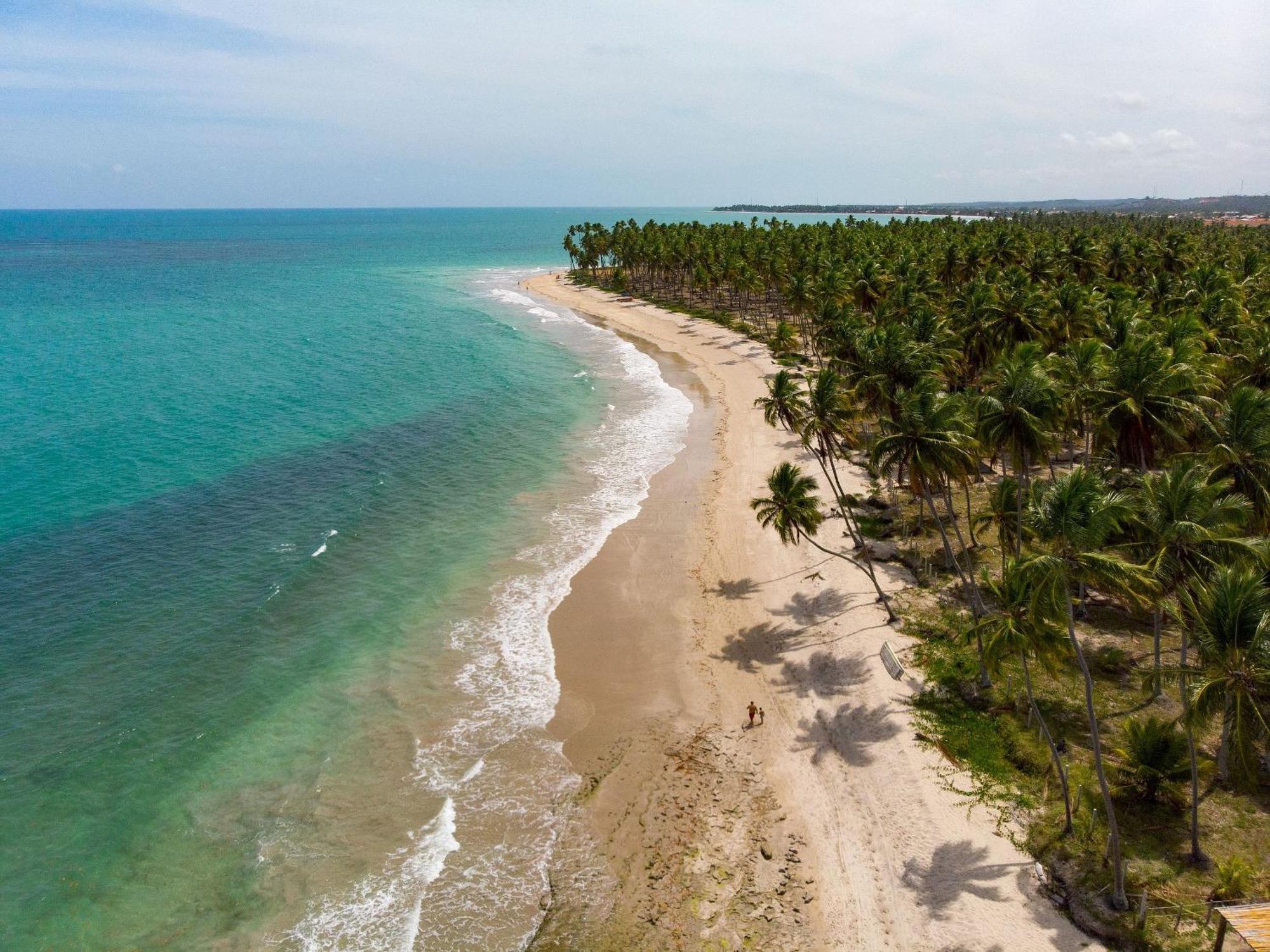 Carneiros Beach Resort 普拉亚多斯卡内罗斯 外观 照片